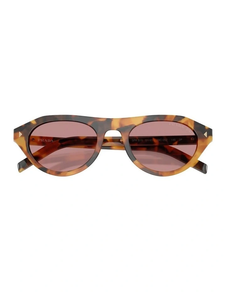 Acetate Polarised Sunglasses in Tortoise image 3