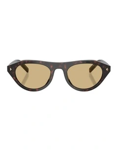Acetate Sunglasses in Tortoise