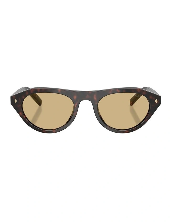 Acetate Sunglasses in Tortoise image 1