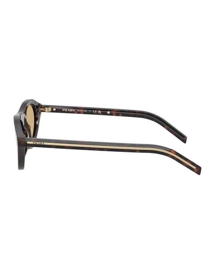 Acetate Sunglasses in Tortoise image 2