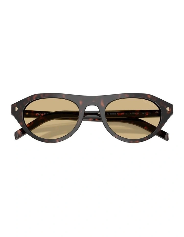 Acetate Sunglasses in Tortoise image 3