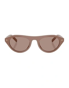 Acetate Sunglasses in Brown