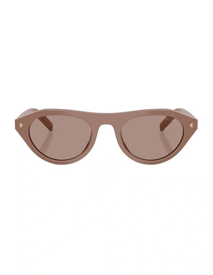 Acetate Sunglasses in Brown image 1