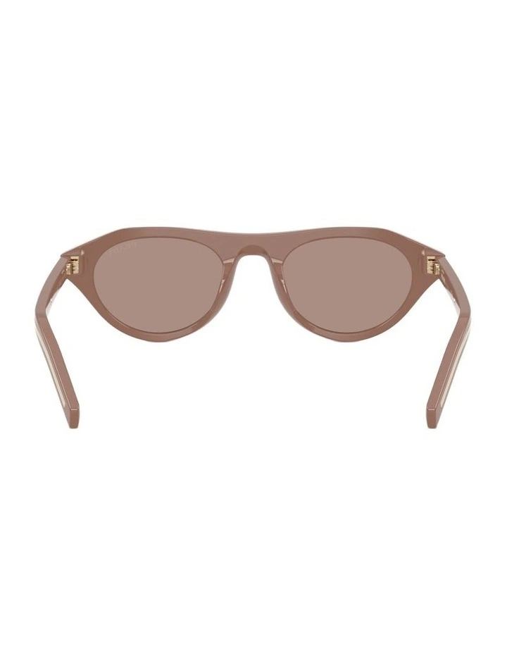 Acetate Sunglasses in Brown image 2
