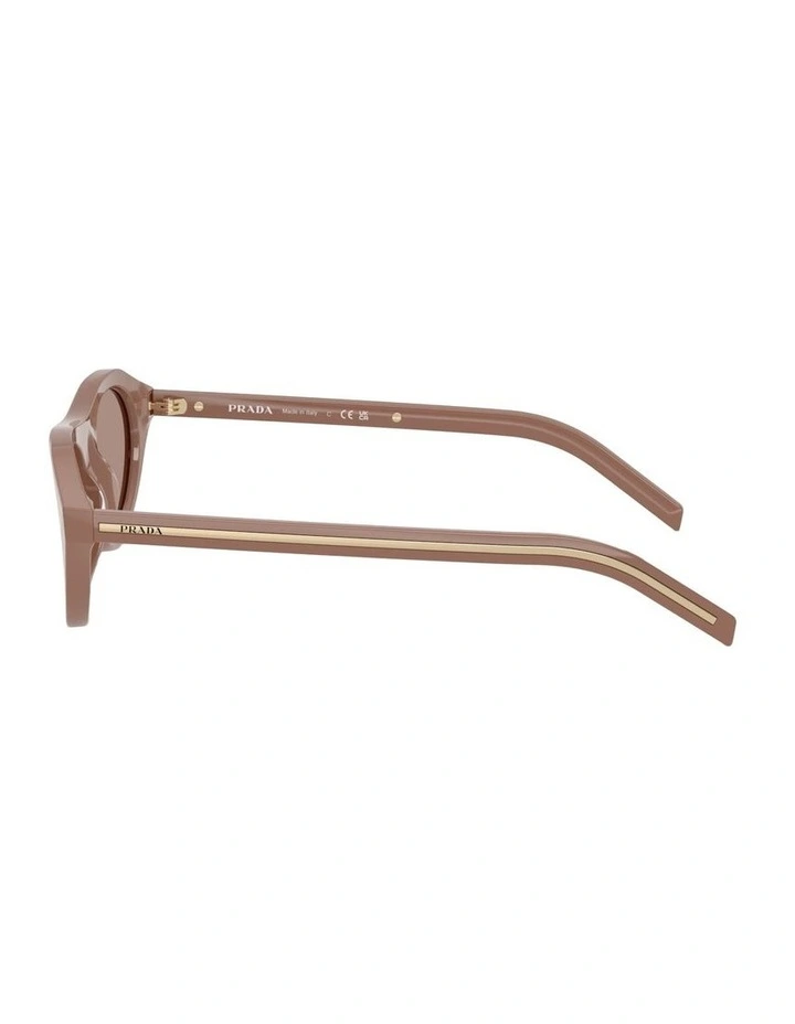 Acetate Sunglasses in Brown image 3