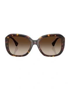 Acetate Sunglasses in Brown