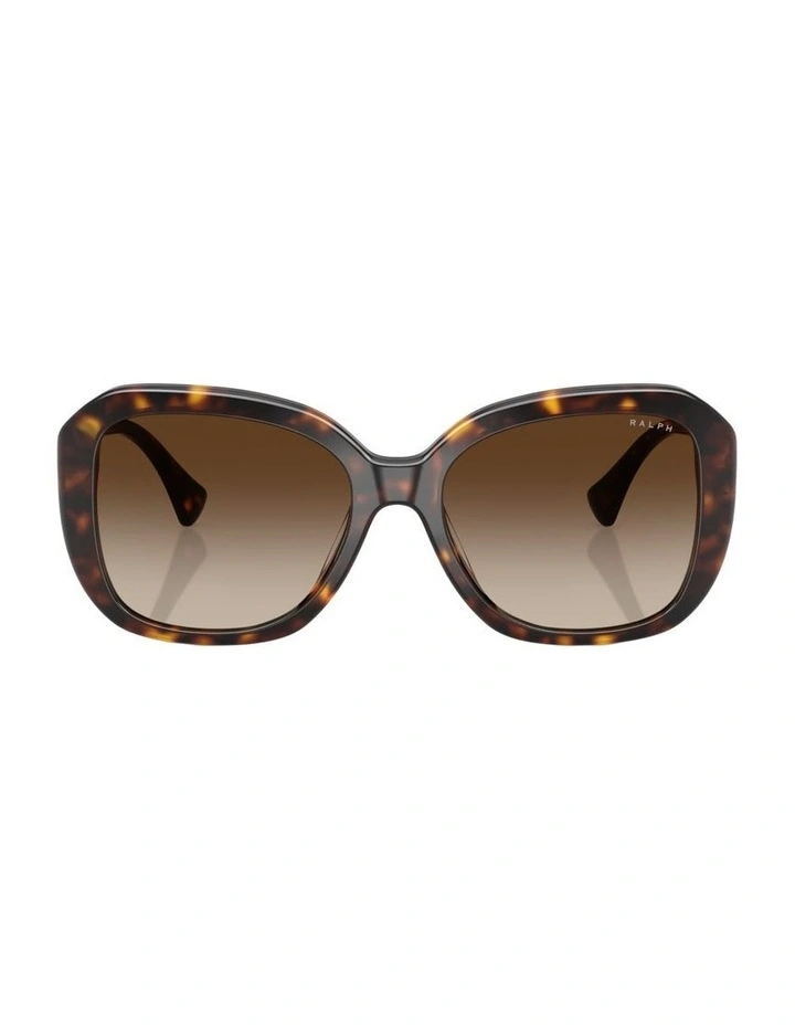 Acetate Sunglasses in Brown image 1