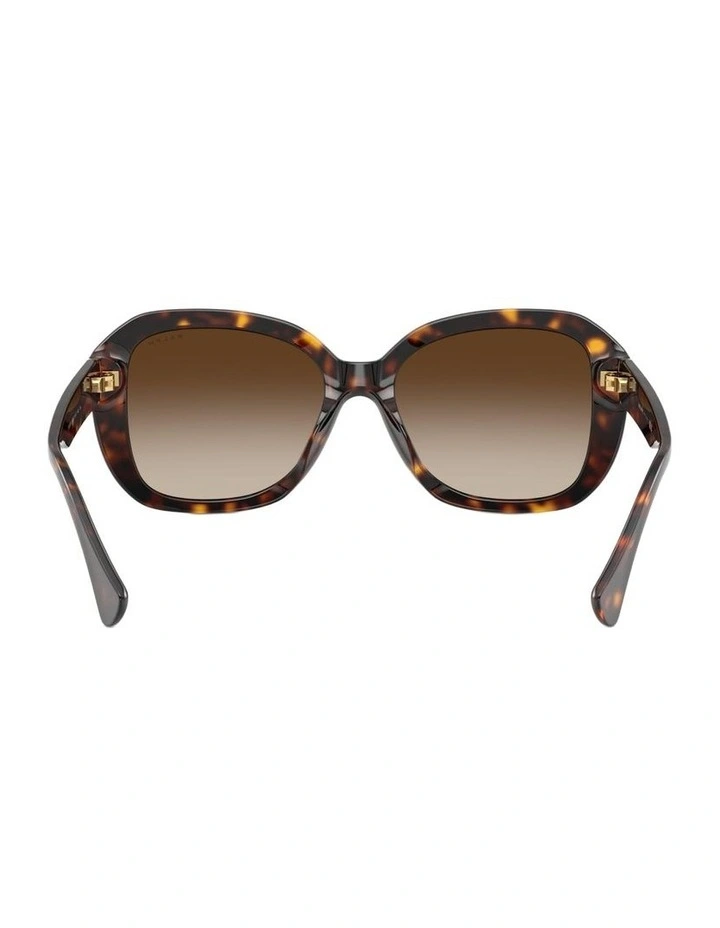 Acetate Sunglasses in Brown image 2