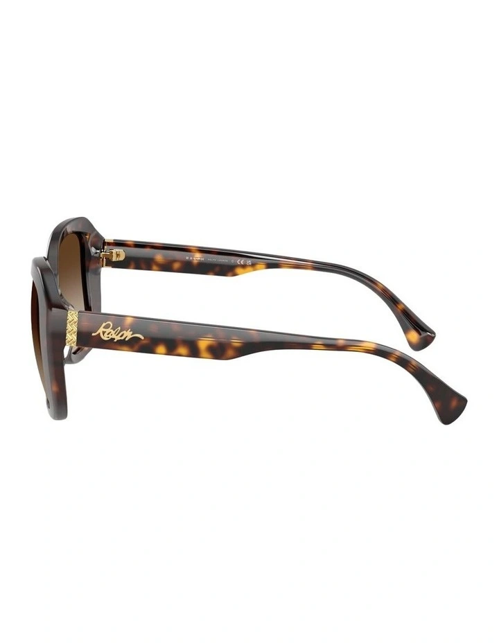 Acetate Sunglasses in Brown image 3