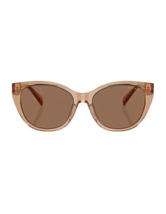 Acetate Sunglasses in Brown