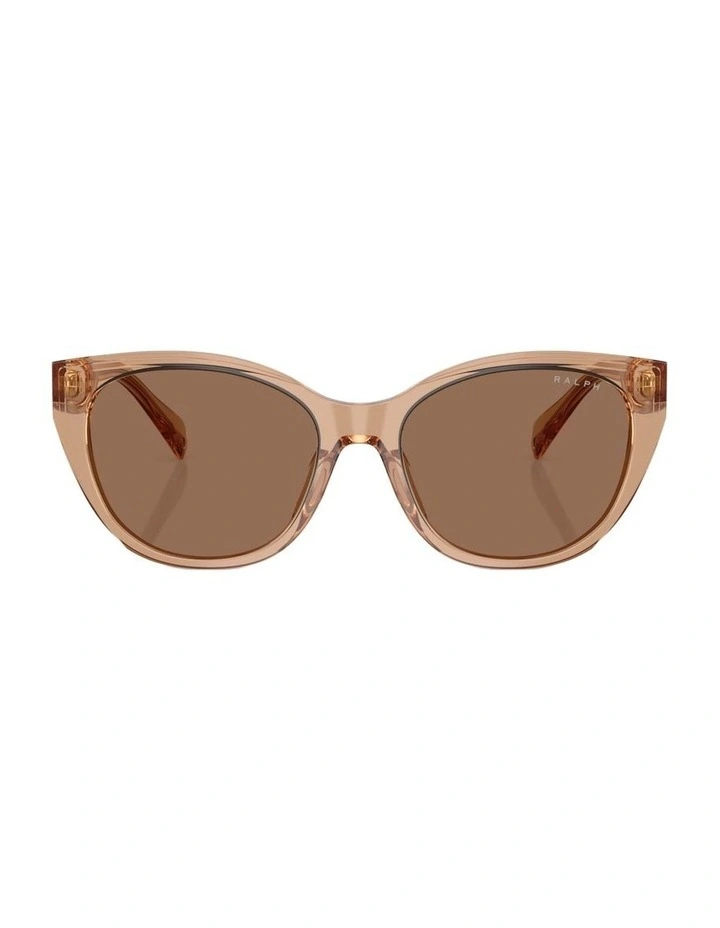 Acetate Sunglasses in Brown image 1