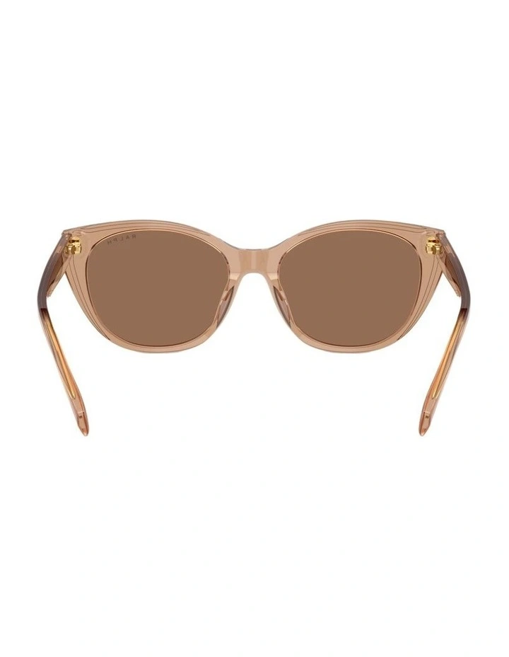 Acetate Sunglasses in Brown image 2