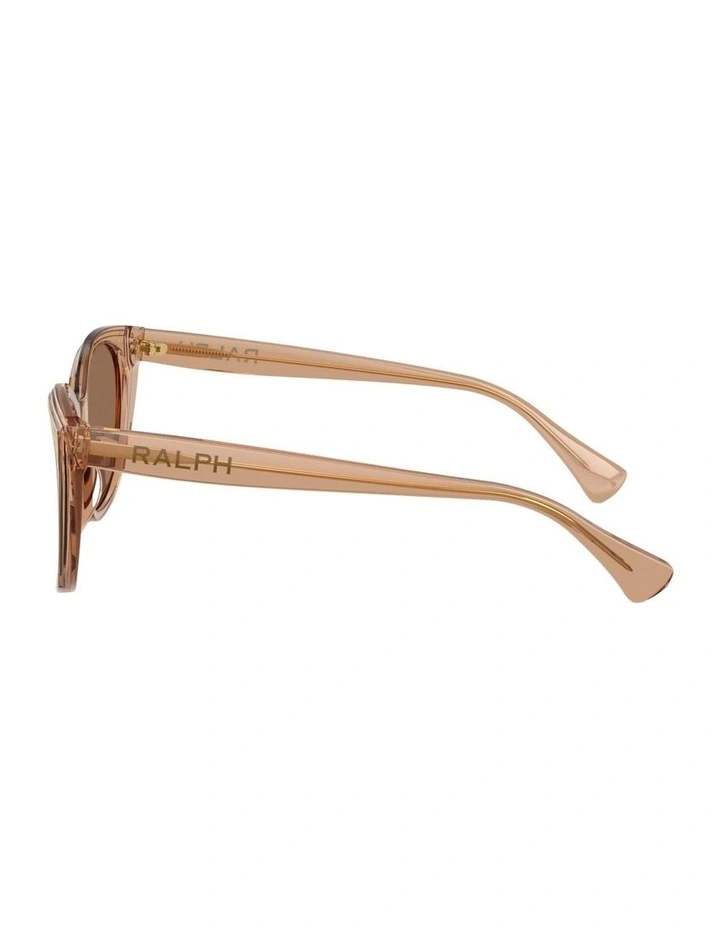 Acetate Sunglasses in Brown image 3
