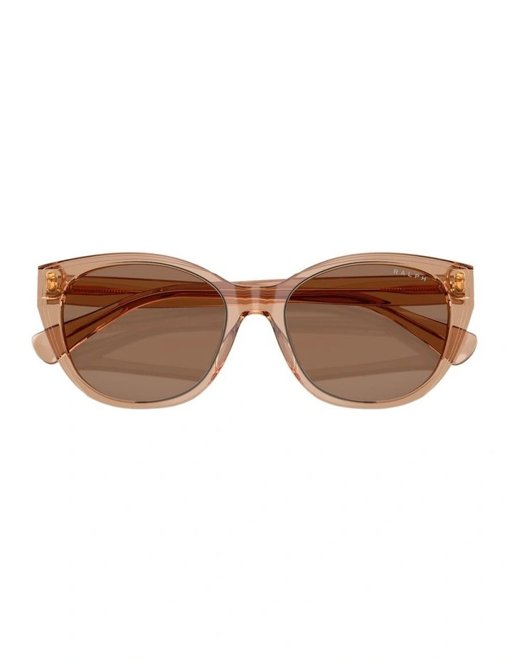 Acetate Sunglasses in Brown image 4