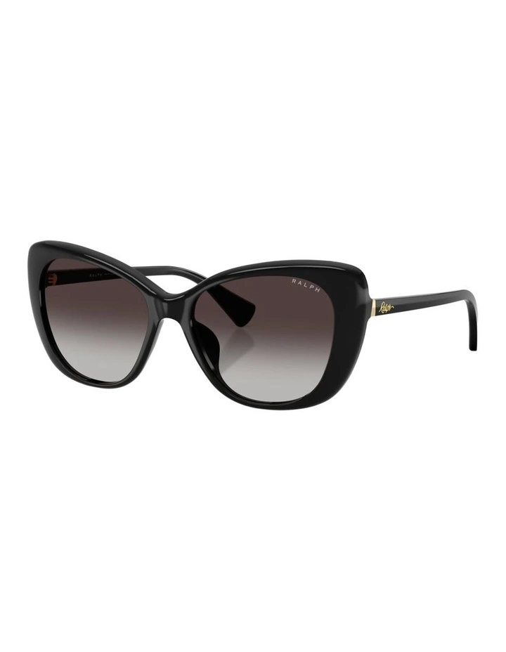 Acetate Sunglasses in Black image 1