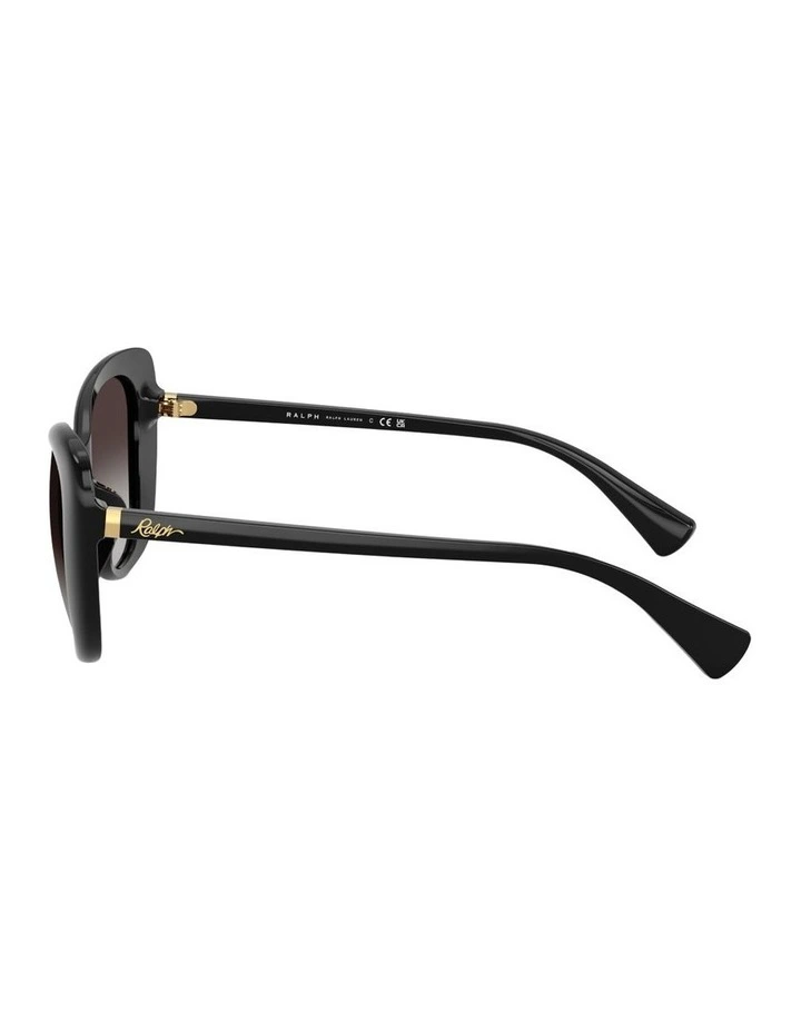Acetate Sunglasses in Black image 3