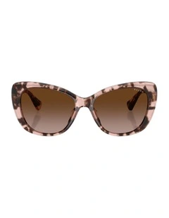 Acetate Sunglasses in Tortoise