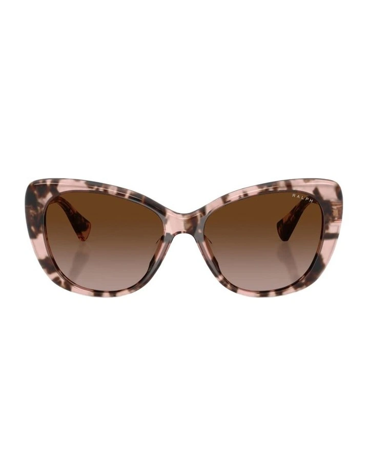 Acetate Sunglasses in Tortoise image 1
