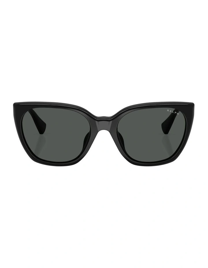Acetate Sunglasses in Black image 1