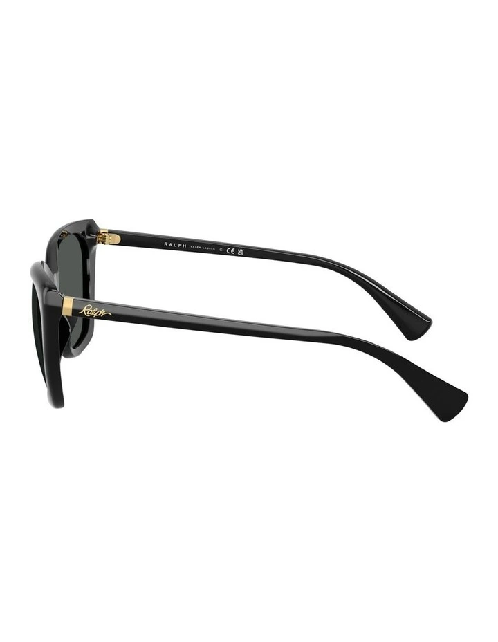Acetate Sunglasses in Black image 3