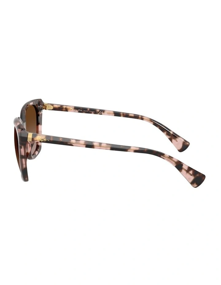 Acetate Sunglasses in Tortoise image 3