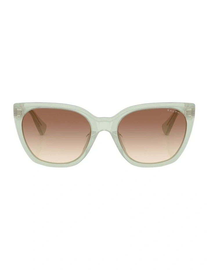 Acetate Sunglasses in Green image 1