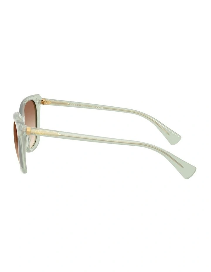 Acetate Sunglasses in Green image 2