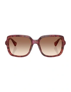 Acetate Sunglasses in Violet