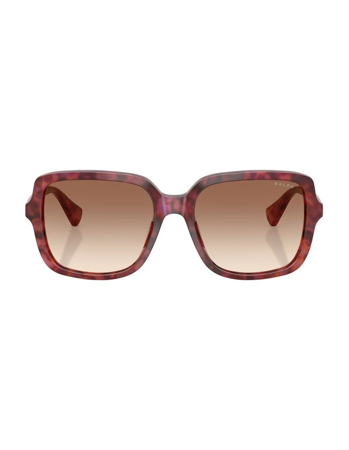 Acetate Sunglasses in Violet image 1