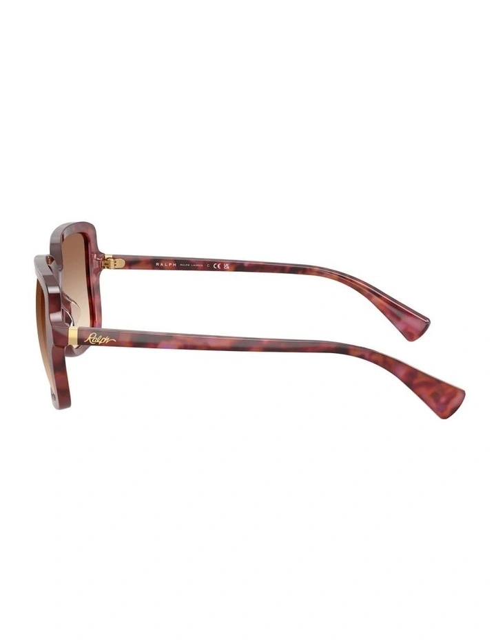 Acetate Sunglasses in Violet image 2