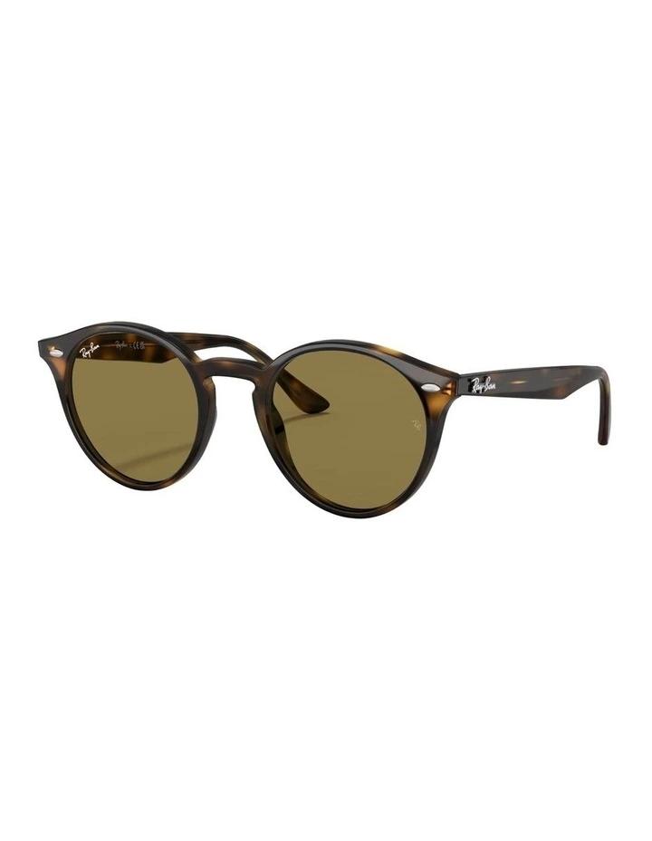 Injected Sunglasses RB2180 in Tortoise image 1