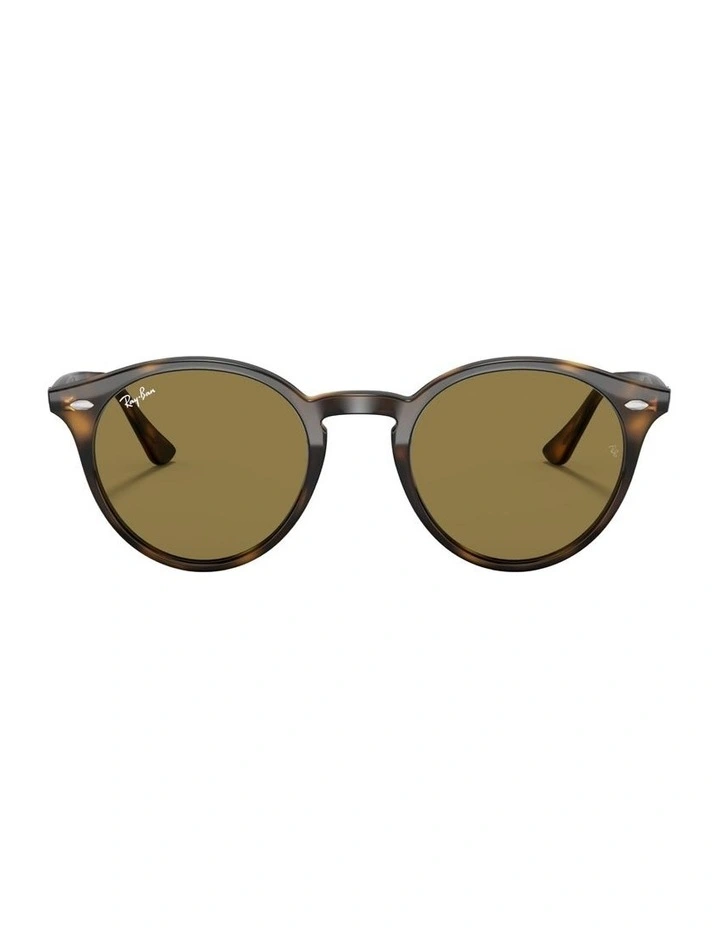 Injected Sunglasses RB2180 in Tortoise image 2