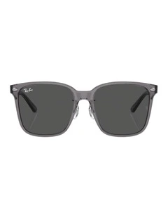 Acetate Sunglasses RB2206D in Grey