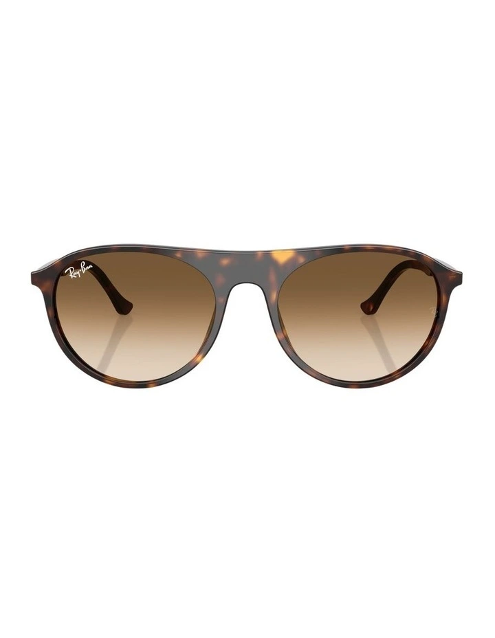 Acetate Sunglasses RB2215 in Tortoise image 2