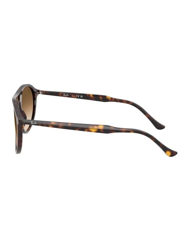 Acetate Sunglasses RB2215 in Tortoise image 3
