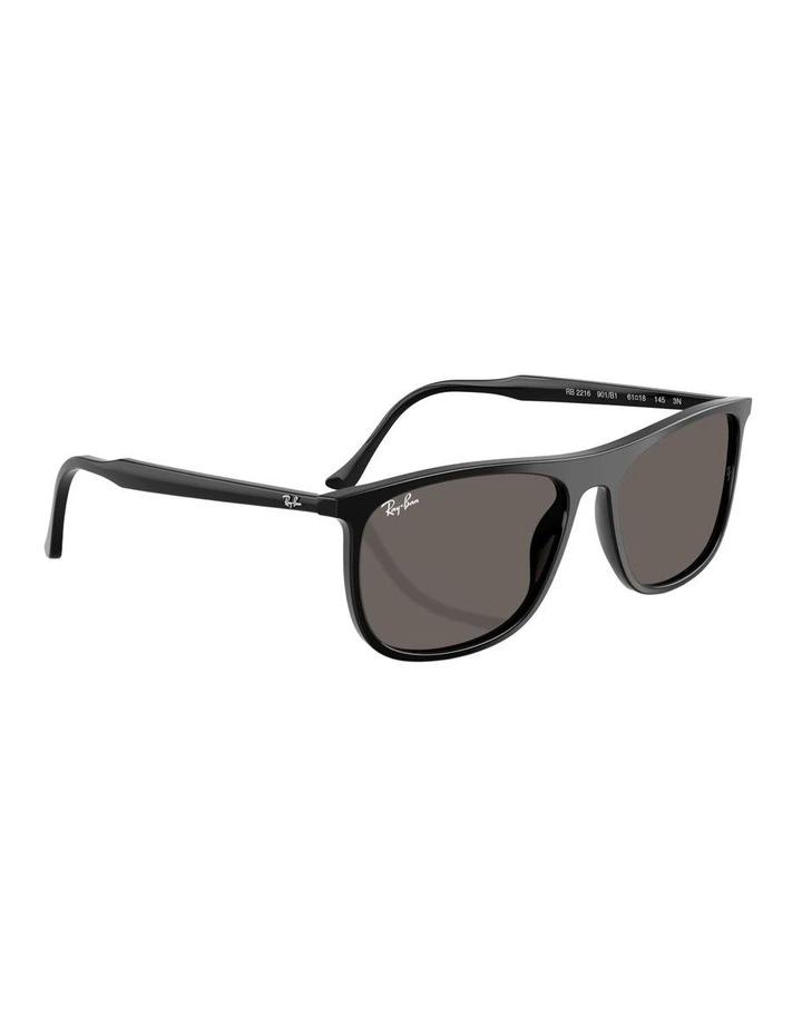 Acetate Sunglasses RB2216 in Black image 4