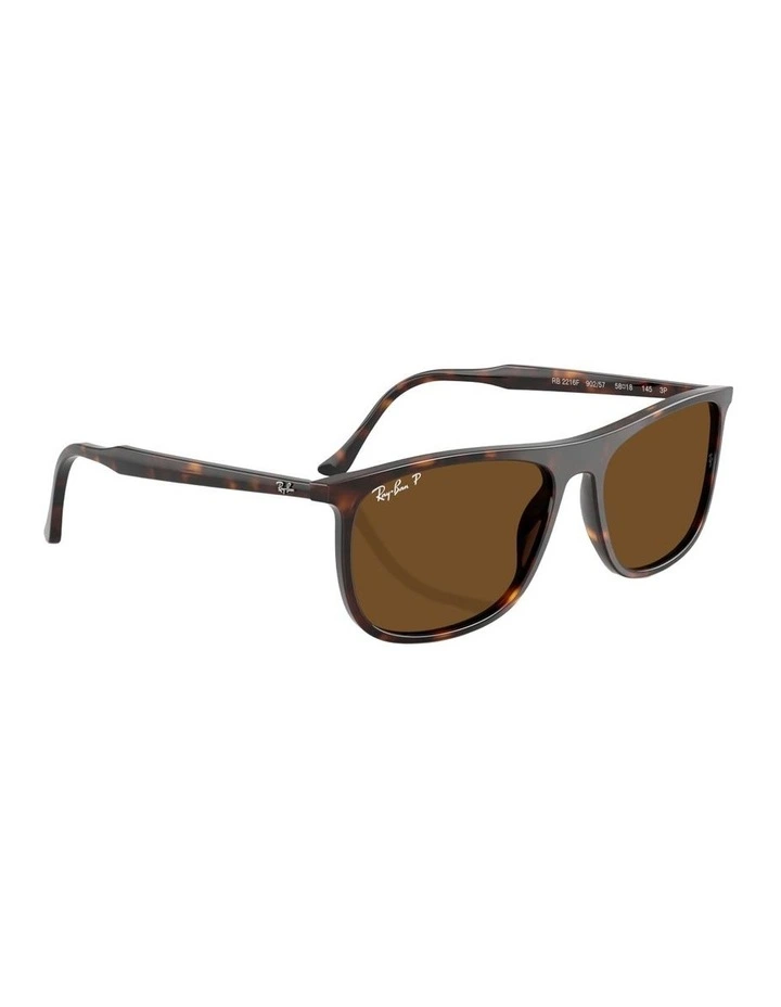 Acetate Polarised Sunglasses RB2216 in Tortoise image 5