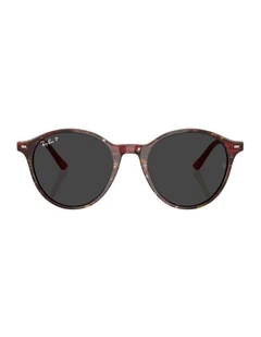 Ray-Ban Acetate Polarised Sunglasses in Multicolor