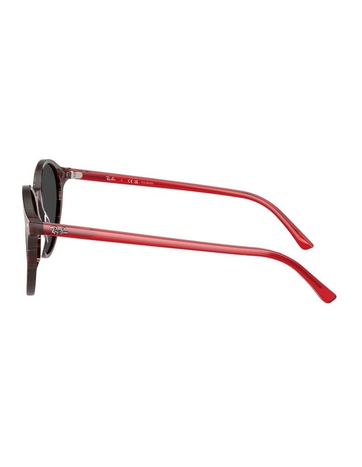 Ray-Ban Acetate Polarised Sunglasses in Multicolor image 3