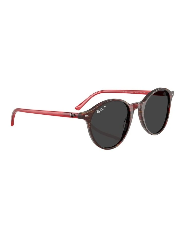Ray-Ban Acetate Polarised Sunglasses in Multicolor image 4
