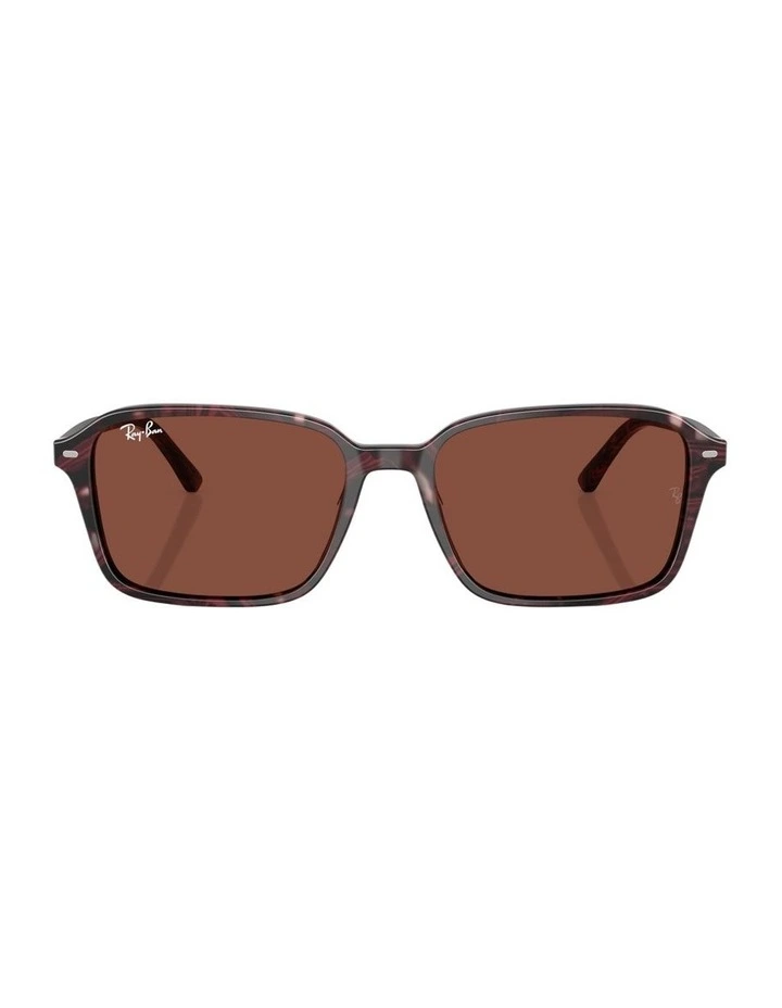 Raimond Acetate Sunglasses in Multi image 2