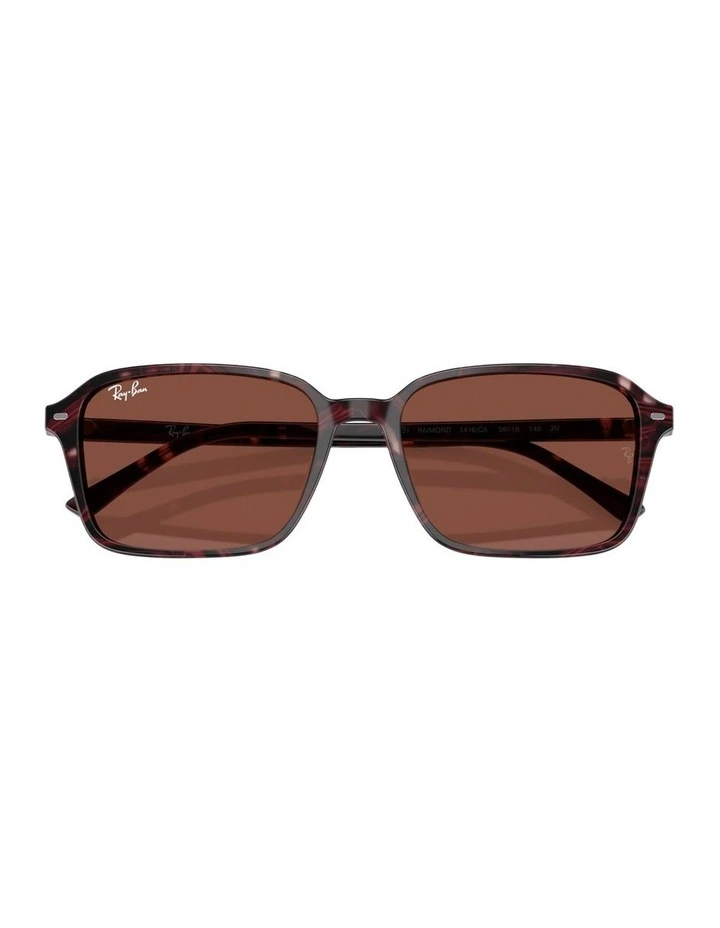Raimond Acetate Sunglasses in Multi image 4
