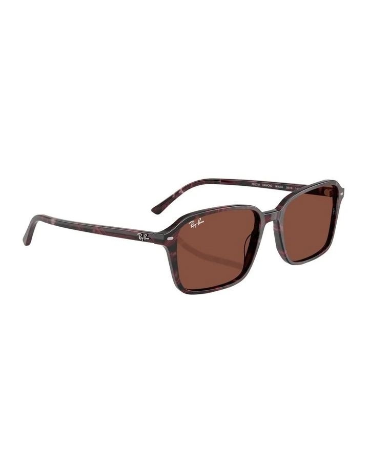 Raimond Acetate Sunglasses in Multi image 5