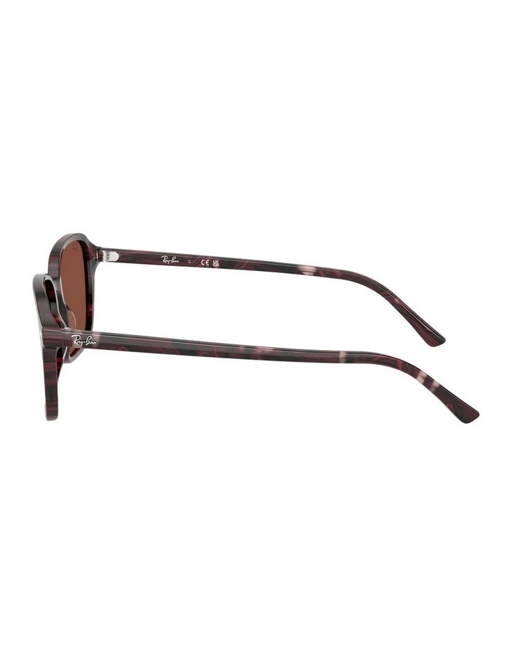 Raimond Acetate Sunglasses in Multi image 2