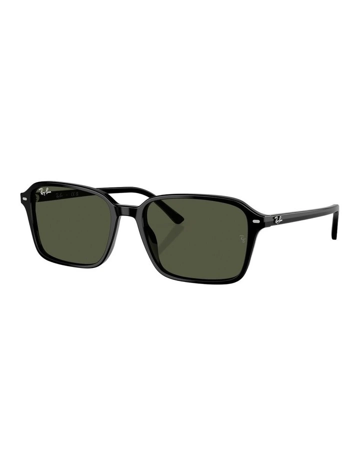 Raimond Acetate Sunglasses in Black image 1