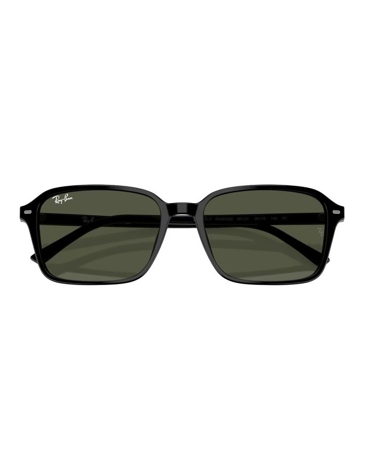 Raimond Acetate Sunglasses in Black image 4