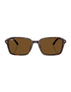 Raimond Acetate Polarised Sunglasses in Tortoise