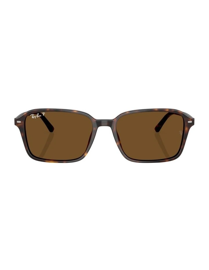 Raimond Acetate Polarised Sunglasses in Tortoise image 1