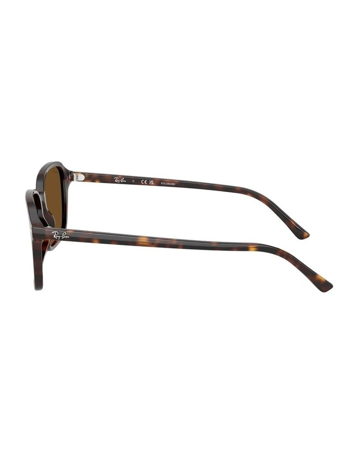 Raimond Acetate Polarised Sunglasses in Tortoise image 2