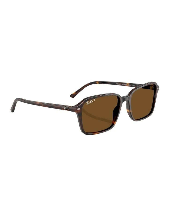 Raimond Acetate Polarised Sunglasses in Tortoise image 3